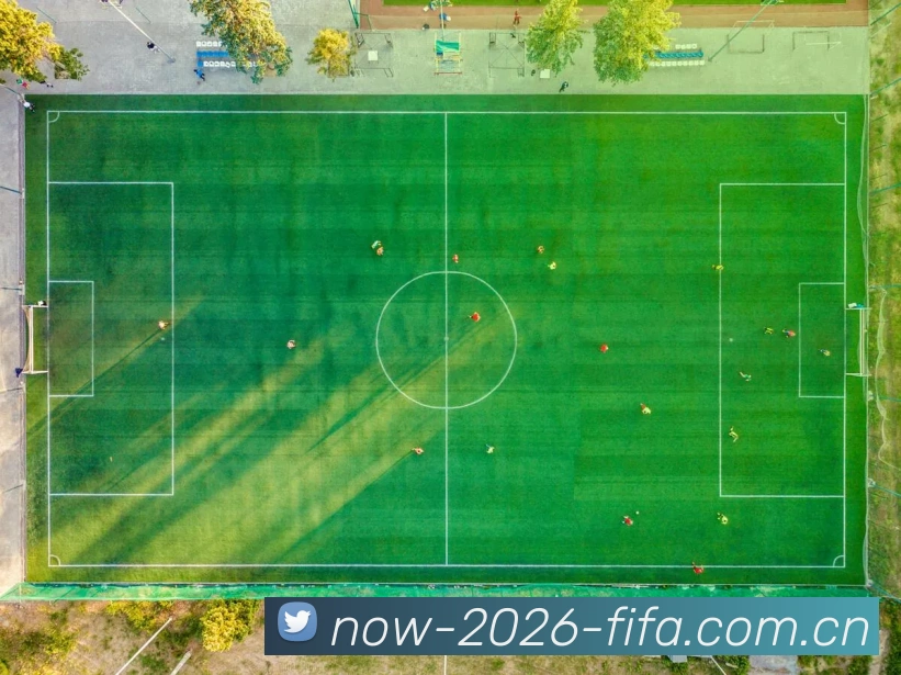 2026世界杯数据服务生态