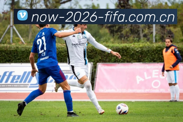 2026世界杯官方数据平台