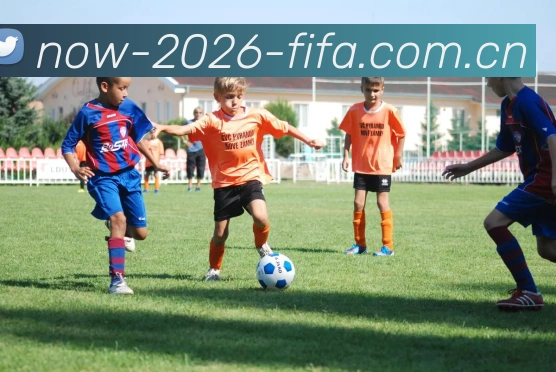 FIFA 官方数据授权认证